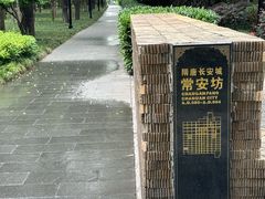 -唐城墙遗址公园