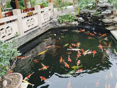 -顺德了能馆(虎门店)