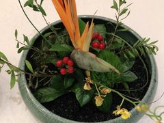 -旺顺阁海鲜广场(亚运村店)