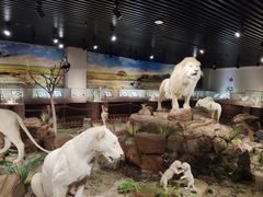 -陕西自然博物馆