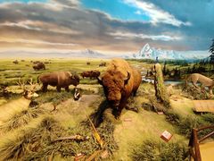 -陕西自然博物馆