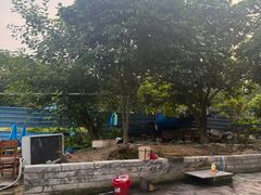 -九岭农庄·竹筒饭