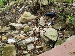 -海南热带雨林国家公园吊罗山景区