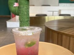 -飞行喵MR PILOT|猫舍·猫咖(静安大融城店)