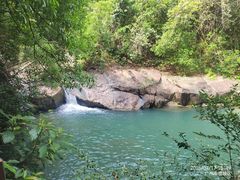 -广州白江湖森林公园