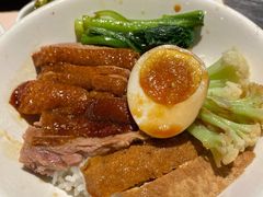 金奖卤鹅肉饭-陈鹏鹏潮汕菜(宝安机场T3航站楼店)