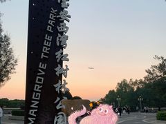 -宝安西湾红树林湿地公园