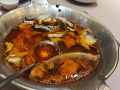-沸腾鱼乡(知春路分店)