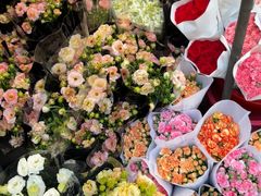 -循礼门鲜花花市(武汉循礼门店)