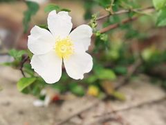 -黄陂区野村谷景区