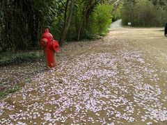 -日照海滨国家森林公园
