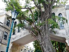 -赤坎·广东华侨国际旅游度假区