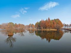 -贡湖湾湿地公园