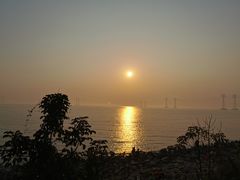 -宝安西湾红树林湿地公园