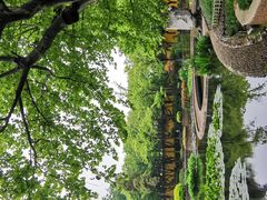 -红梅公园
