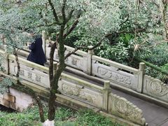 -杭州花家山庄