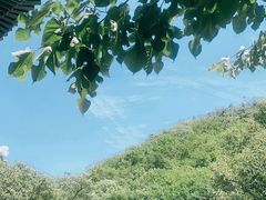 -天津盘山风景名胜区