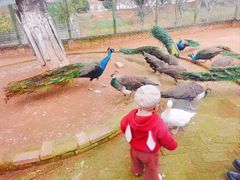 -武汉紫薇都市田园