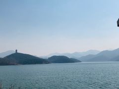 -望湖烤鱼