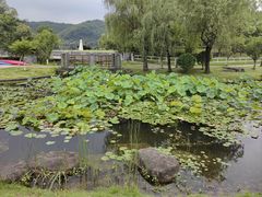-宁波九龙湖开元度假村