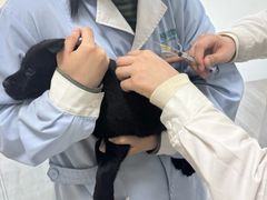 -派特宠物医院(海岸城店)