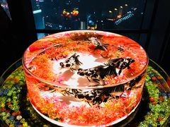 -上海环球金融中心云端足球盛典