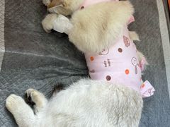 -美迦爱-牙专科·兔科·骨科诊疗中心(北苑店)