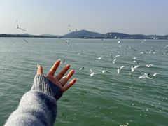 -蠡湖大桥公园