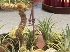 -虹御轩·传承江浙菜(虹桥店)