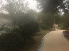 -海兰云天度假区温泉