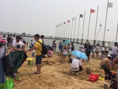 -碧海金沙