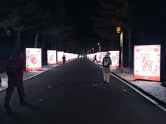 -长春市南湖公园