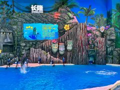 -珠海长隆海洋王国