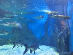 -多彩贵州城极地海洋世界