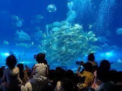 -华夏文旅海洋公园