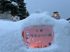 -小樽运河广场(運河プラザ)