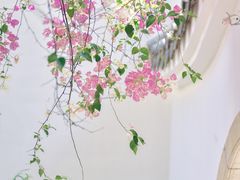 -深圳国际园林花卉博览园