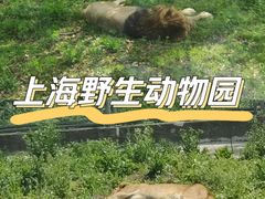 -上海野生动物园