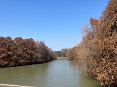 -上海海湾国家森林公园