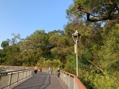 -金鸡山公园