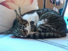 -ID.PHOTO照相馆(嘉里企业中心店)