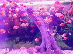 -常州海昌海洋探索馆
