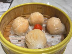 -顺意·顺德家乡菜(国际人才大厦店)