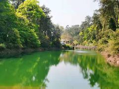 -南山植物园