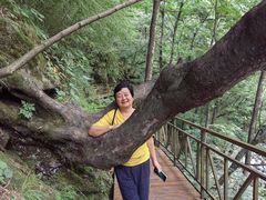 -青峰峡国家森林公园