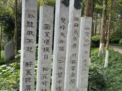 -重庆彩云湖湿地公园