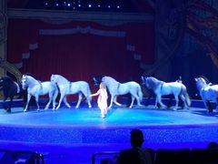 -珠海横琴长隆《卡卡虎奇遇记》