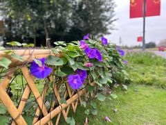 -中国天府农业博览园