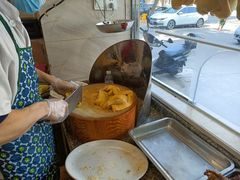 -巫记鸡饭店