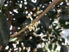 -小格里自然风景区